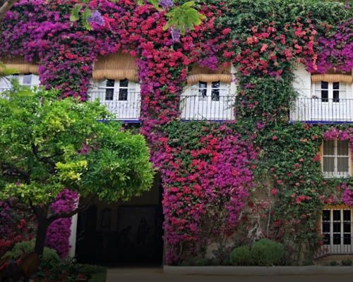 palacio-duena-flores